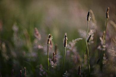 东亚玩家期待的《inZOI》是否值得一玩